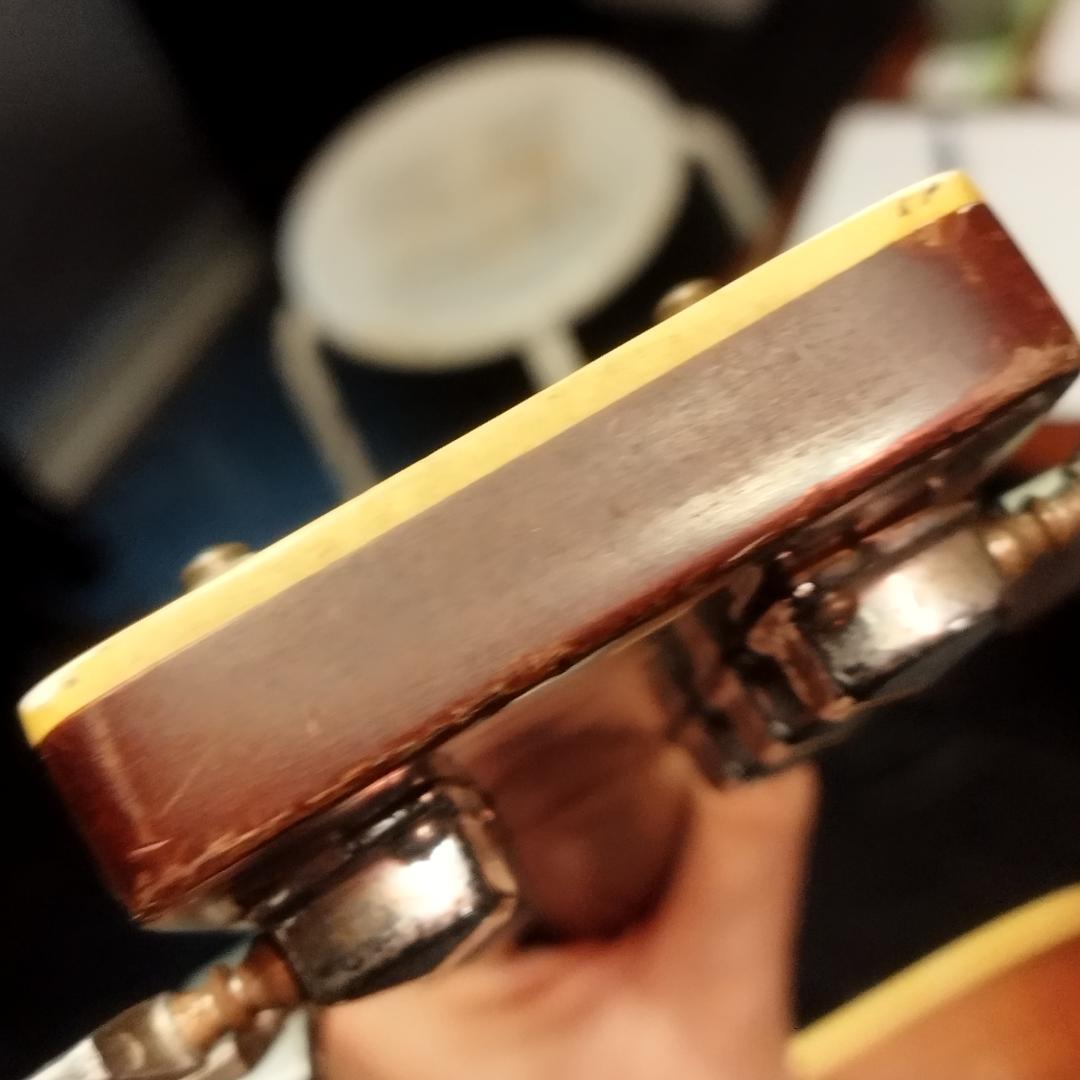 Aria ＆ co アコースティックギター　W-200