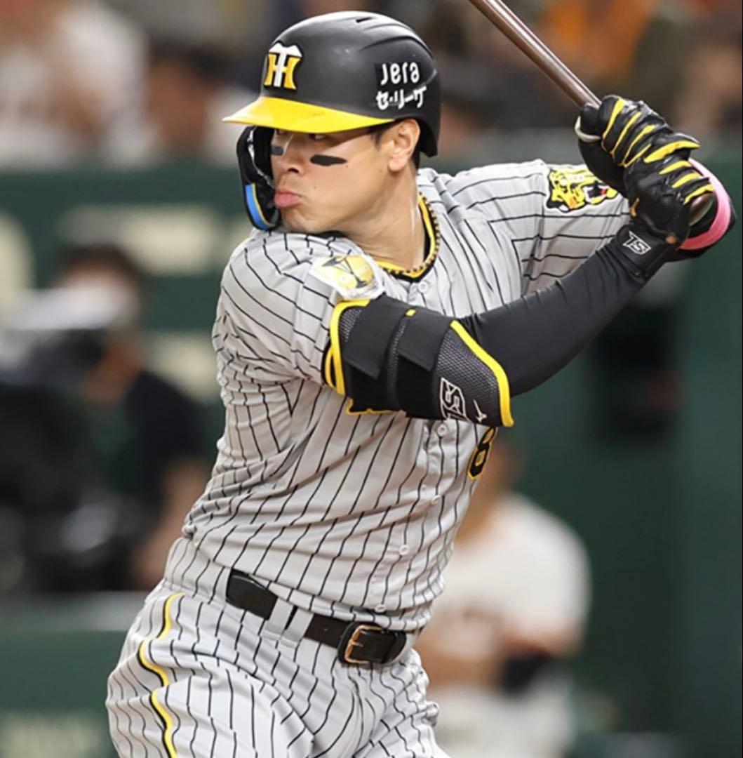 阪神タイガース #8 佐藤輝明 選手 実使用バッティンググローブ