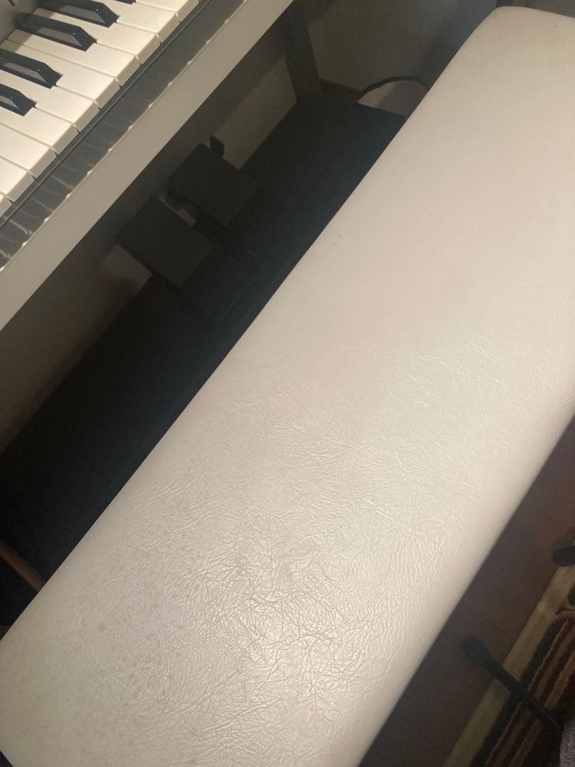 ステージアELS-01C