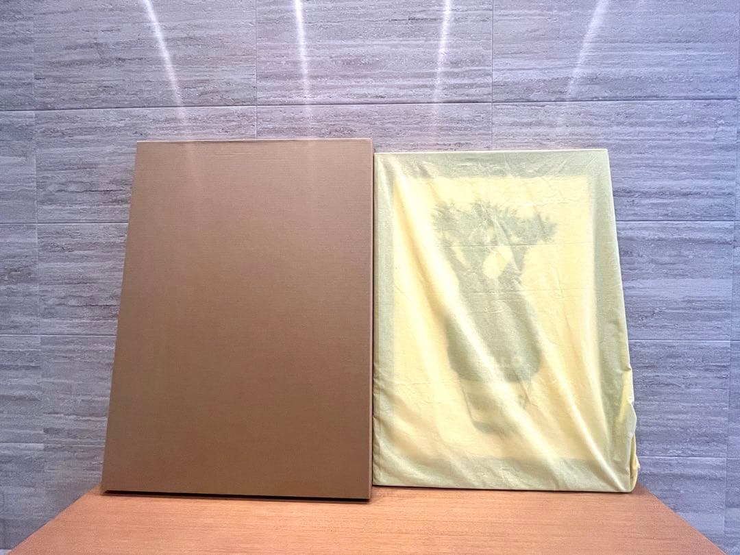 GIRUVI Pachypodium Gracilius グラキリス