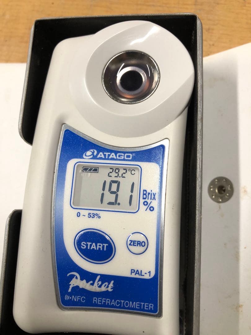 ✨Jinくん ママさん✨ 山梨県産　富士の輝き　シャイン　我が道