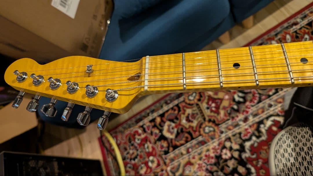 WARMOTH テレキャスタータイプ オーダー品