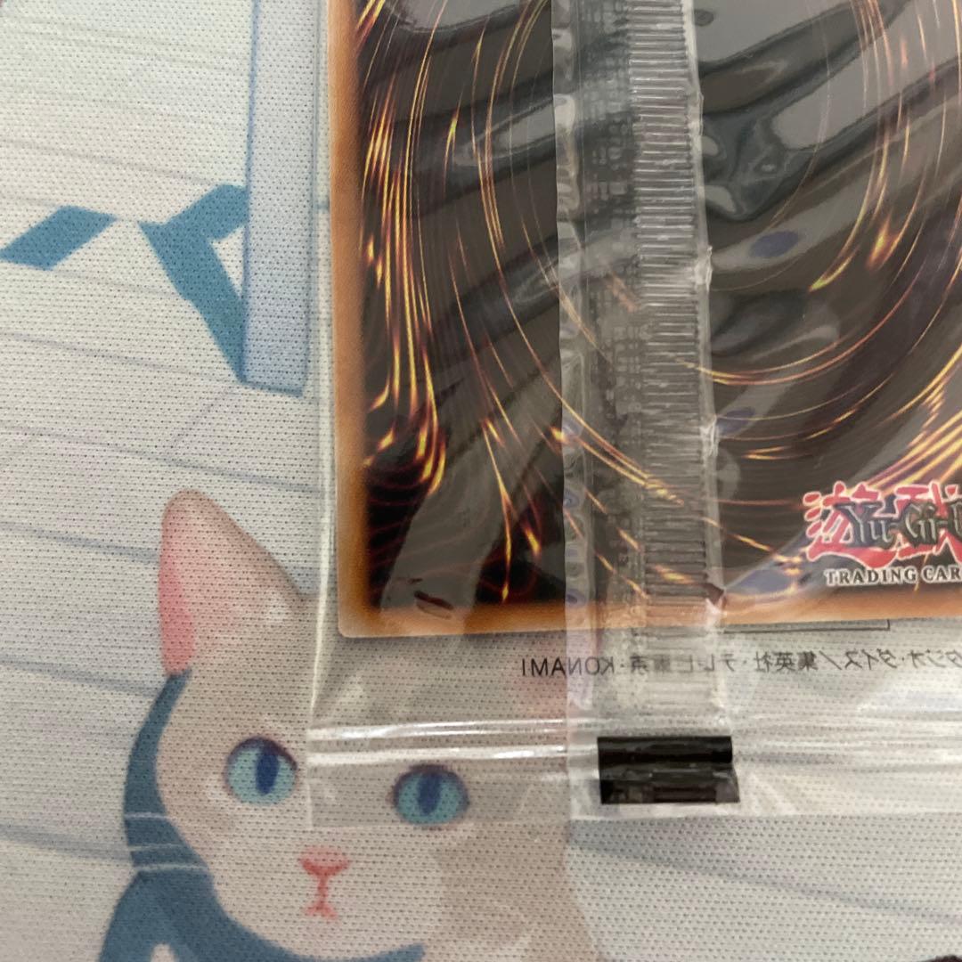 遊戯王　日本選手権　店舗予選　後期　Dragon of Illumination