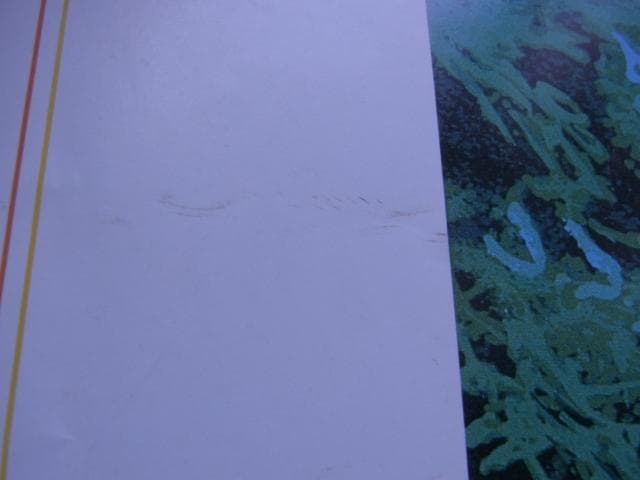 未使用品　非売品　ポスター　ヒロ・ヤマガタ　森の蝶々　アート　山形博導