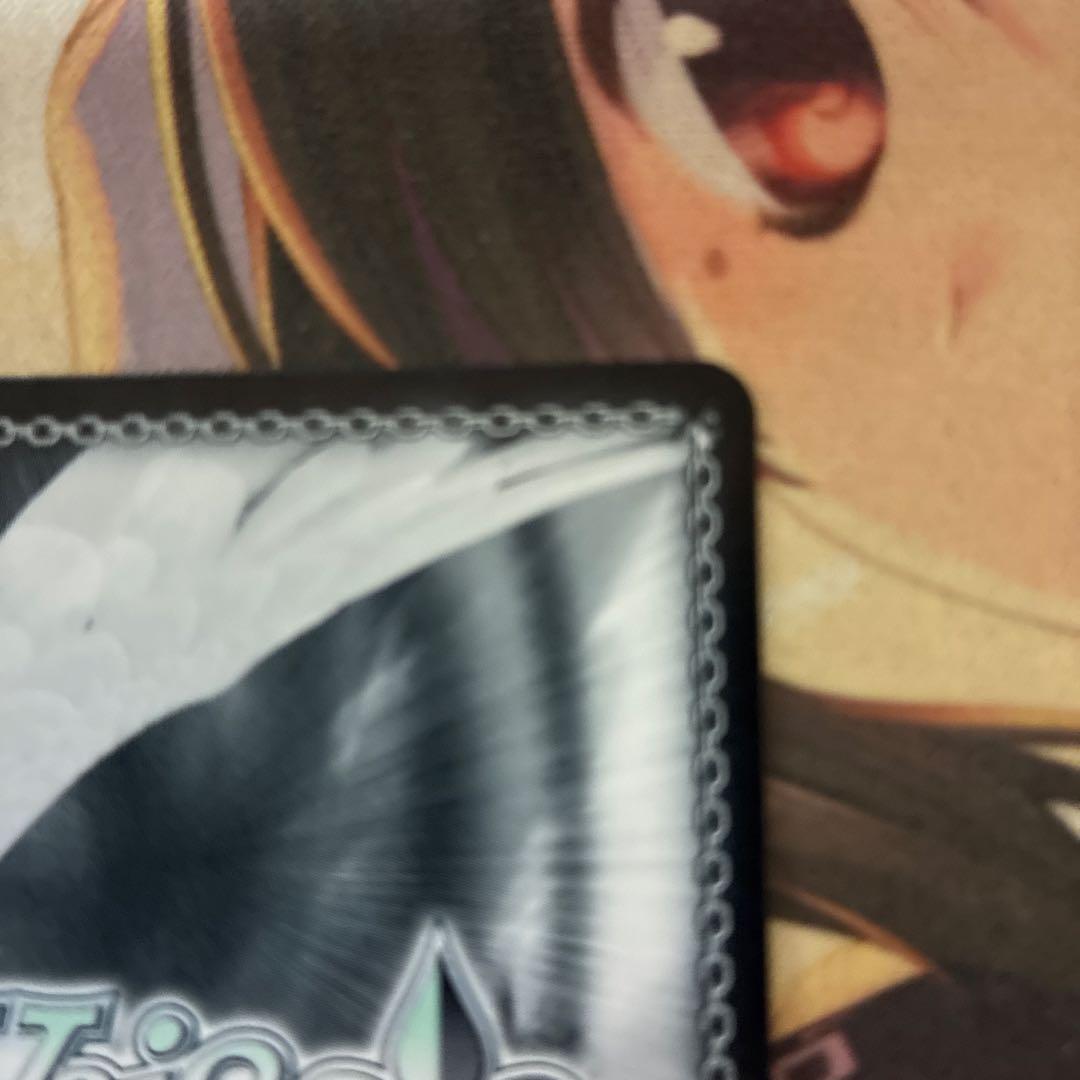 レイル・ロマネスク　ハチロク　ヴァイスシュヴァルツロゼ　SSP