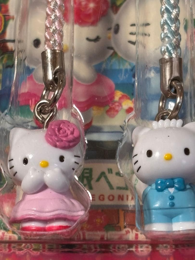 激レア❣️未使用未開封❗️ご当地キティ神奈川 箱根ベゴニア園2006