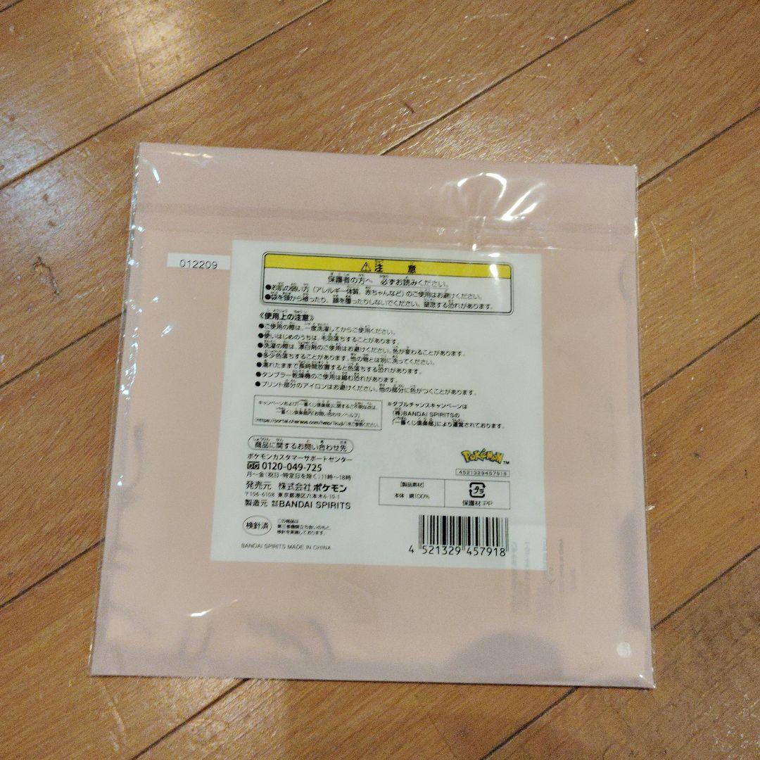 ポケモン 2025 ハンドタオル