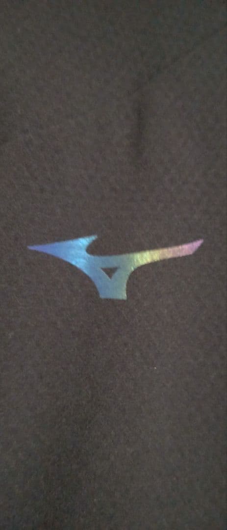 新品未使用☆ミズノ　レディースジャージ上下セット