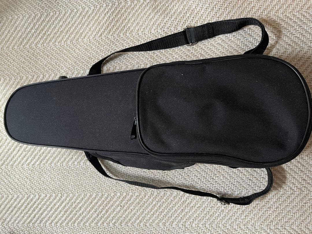 【もこもこもこ様】カルロ・ジョルダーノ VS-1 1/16 (ケース肩当て付き)