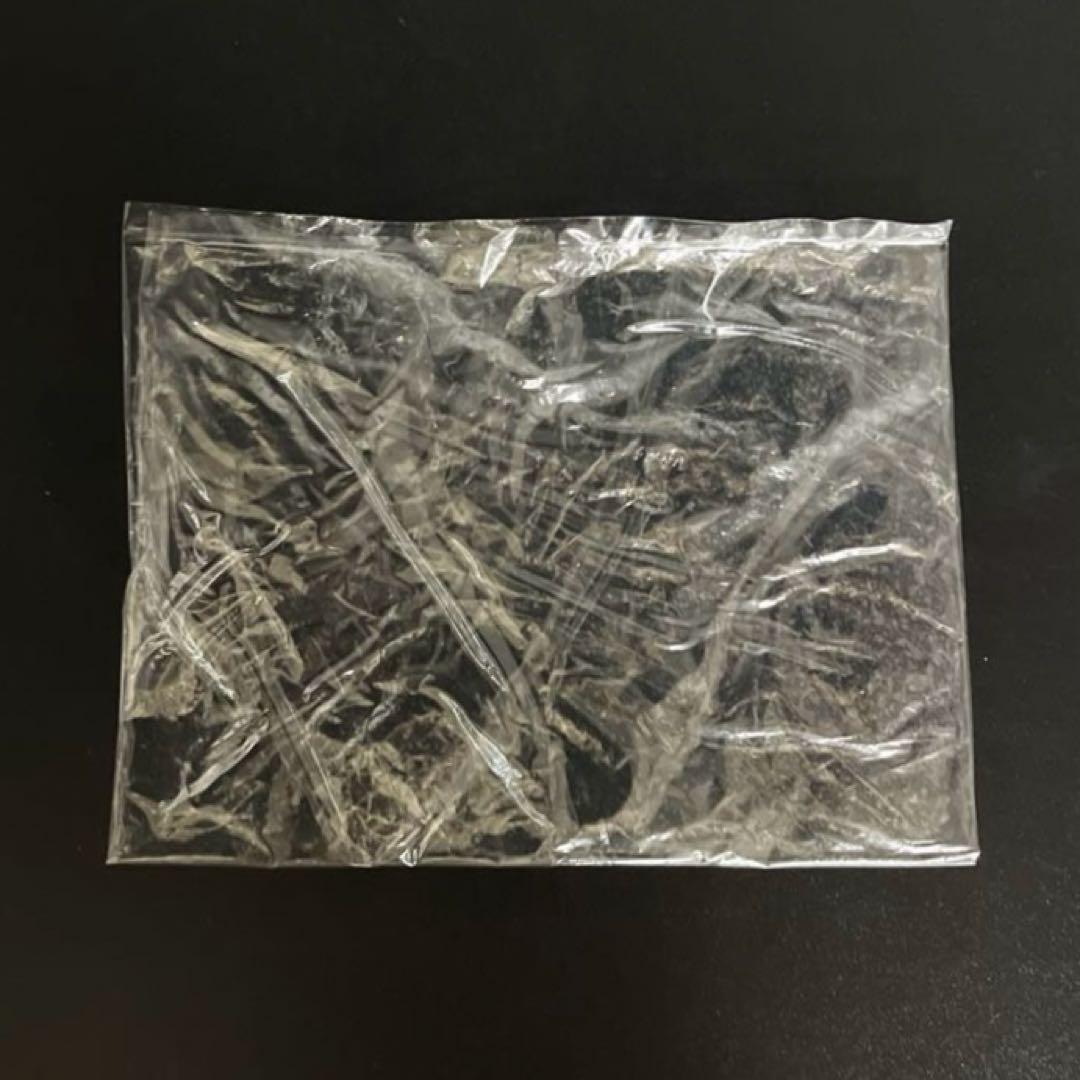 廃盤 新品 ダイワ リベルトピクシー エアリーレッド レフトハンドル