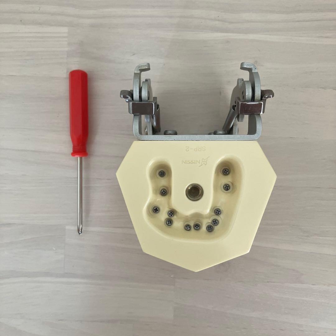 NISSIN ニッシン額模型　叢生顎模型