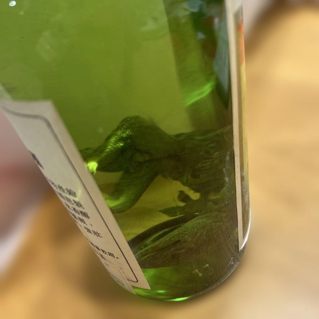 蛤蚧酒 オオヤモリ　トッケイヤモリ　中国　中国酒　酒　スピリッツ　古酒