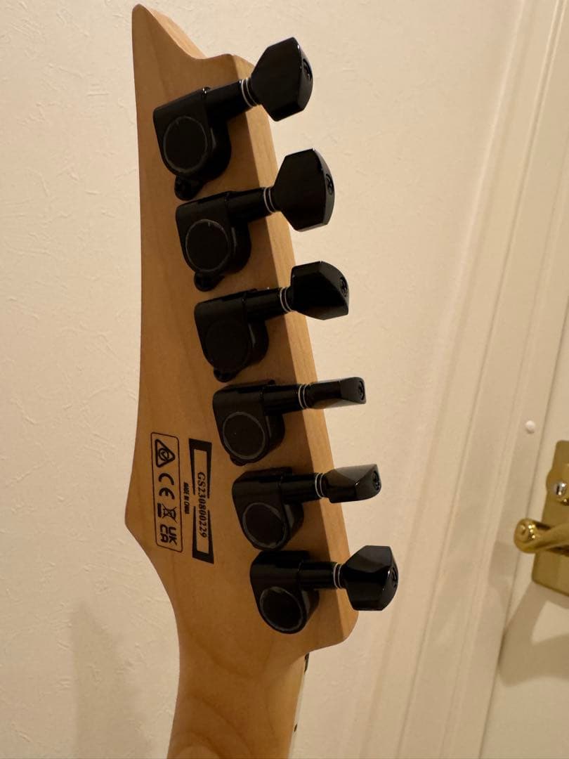 ibanez ギターRGV250 シルバー