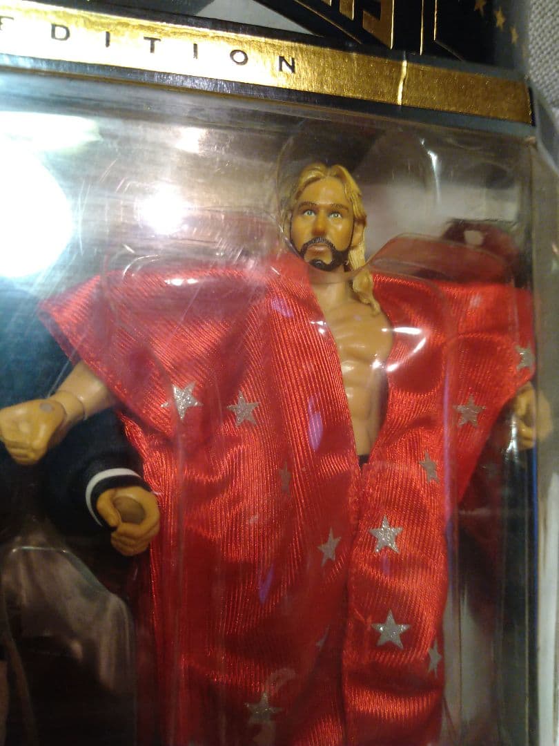 開封品　貴重！WWE クラシック限定版！全日　テリー・ゴディ&マイケル・ヘイズ