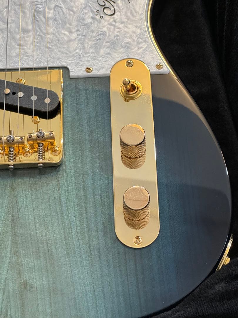 ギター momose MT-HYUGAZAKURA SP 25 E DBL-VGR