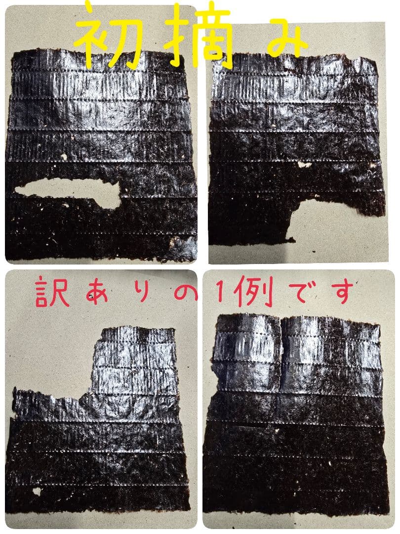 大量！！初摘み訳あり乾海苔全型100枚×7袋！