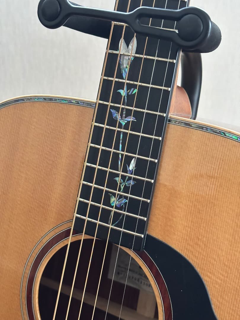 ギター M-104PDK MORRIS GUITARS