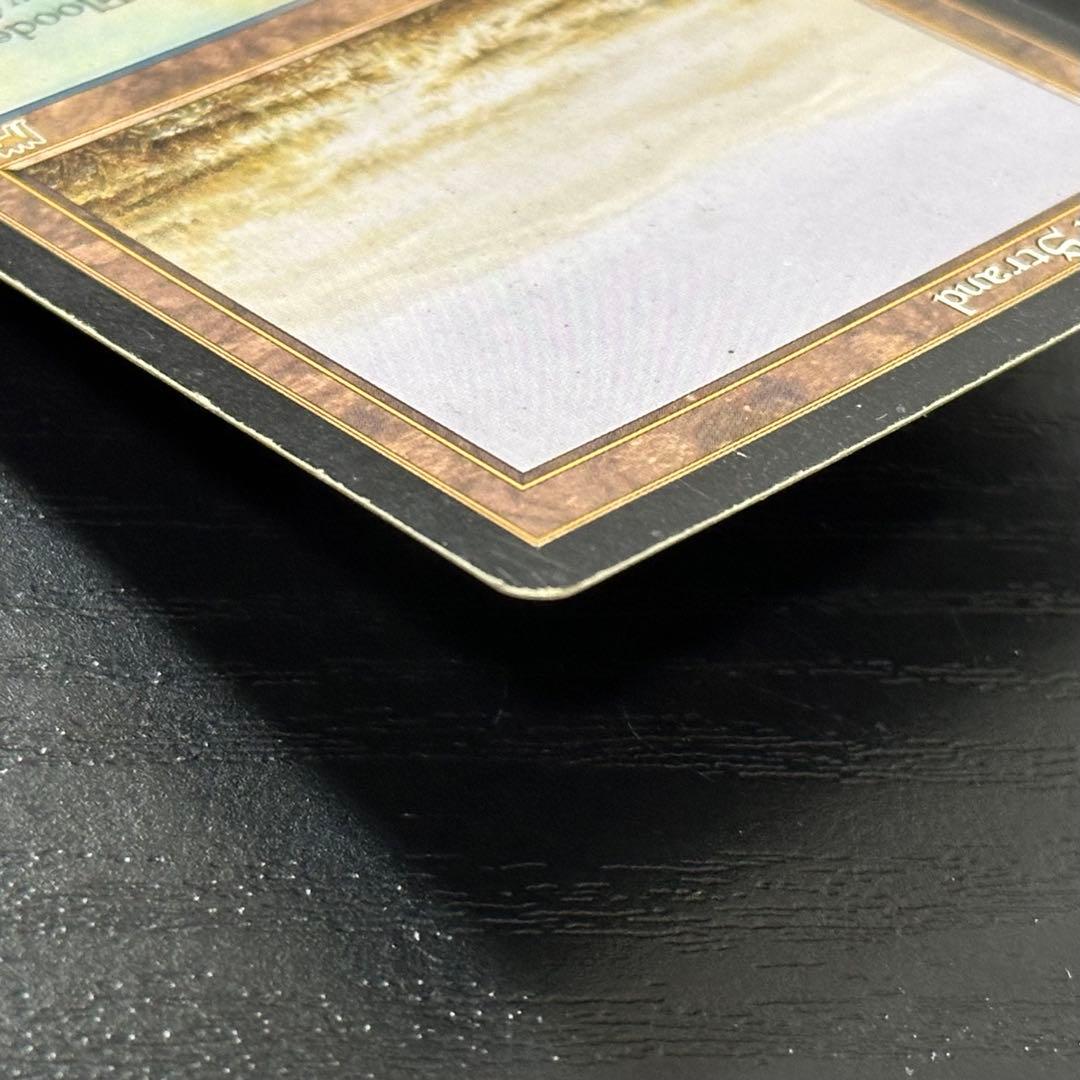 MTG 溢れかえる岸辺 英語 初版