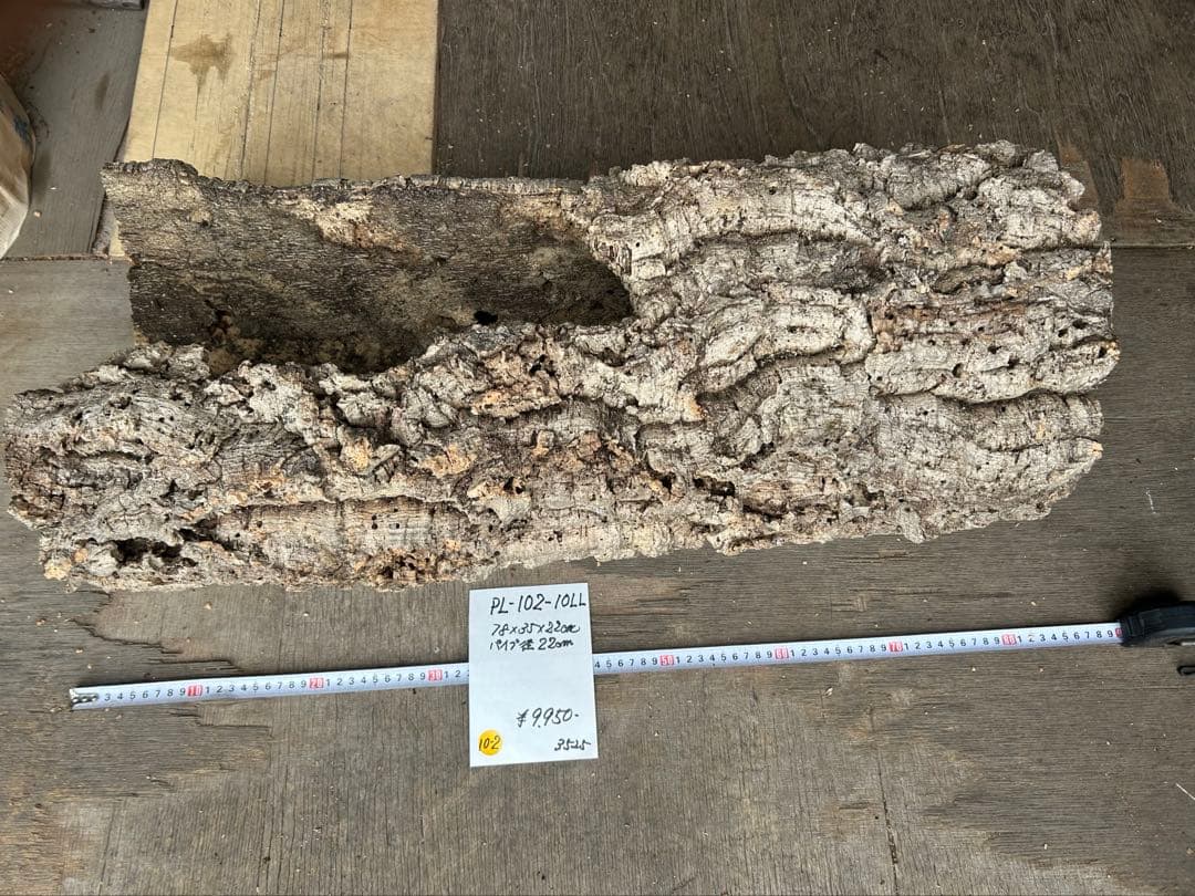 ポルトガル産コルク樹皮ＰＬ-102-10ＬＬ