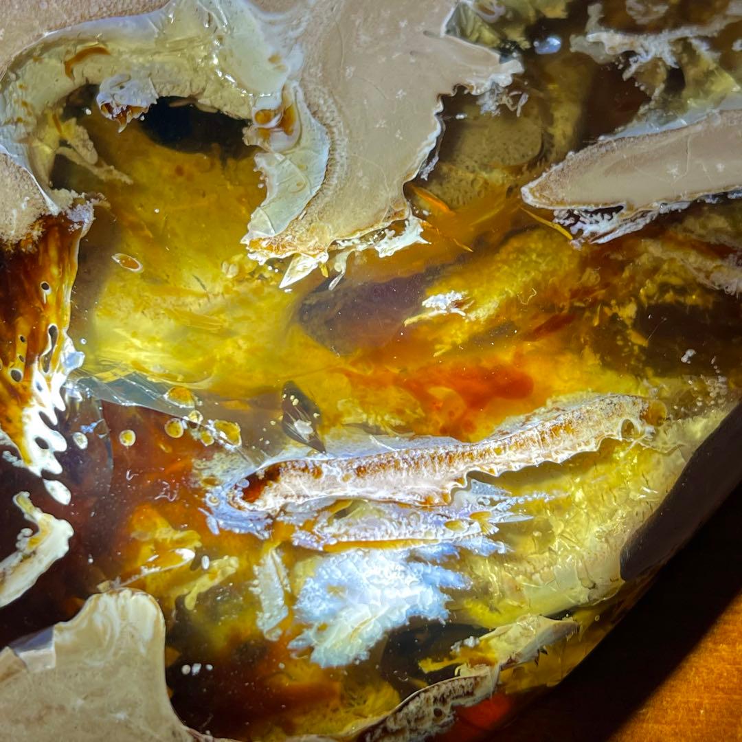 鑑別付 琥珀 原石 標本 巨大 タイガー アンバー レア 希少 鑑賞石