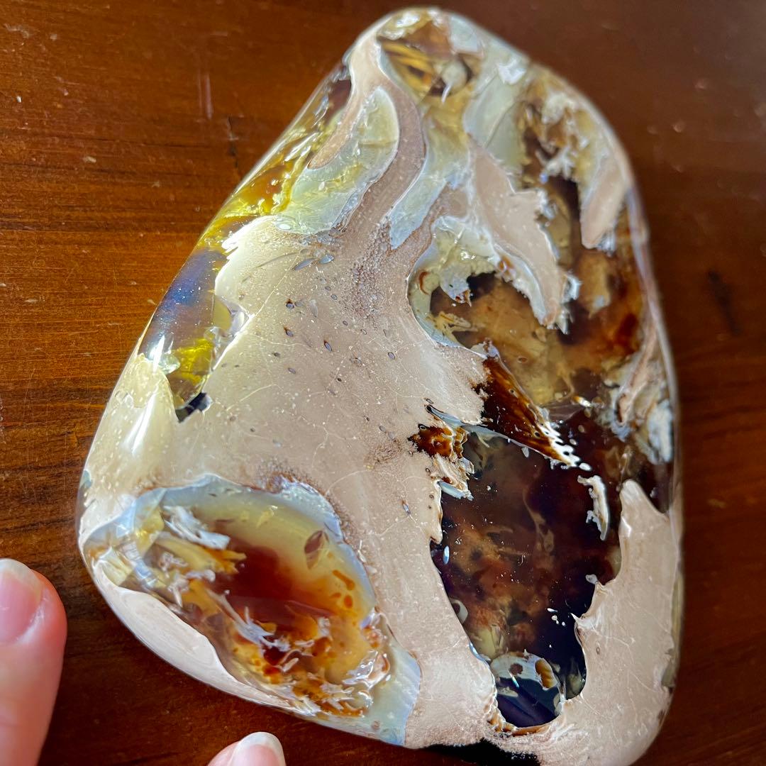 鑑別付 琥珀 原石 標本 巨大 タイガー アンバー レア 希少 鑑賞石