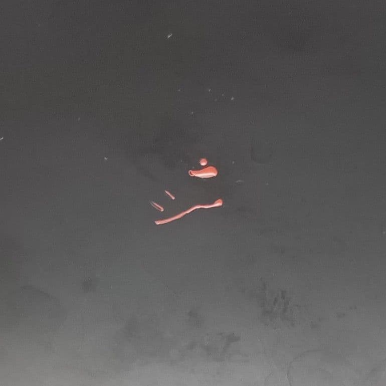 赤木明登 正法寺椀 輪島 塗師 現代作家