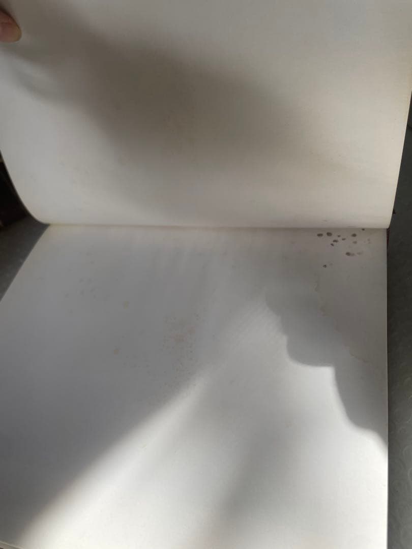 GOYA ゴヤ 画集 全2巻セット J.Gudiol 1985年版