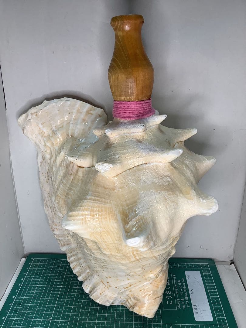 #01・ピンクガイ・法螺貝・山伏・修験者・豊臣兄弟・羽黒山・縁起物・ピンクリボン