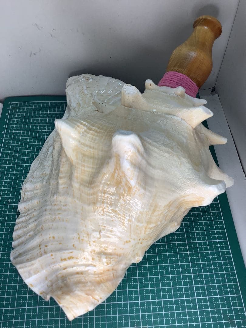 #01・ピンクガイ・法螺貝・山伏・修験者・豊臣兄弟・羽黒山・縁起物・ピンクリボン