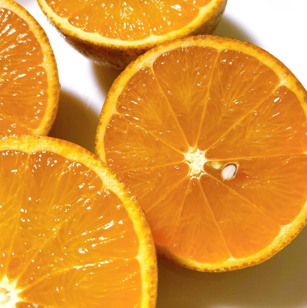 #3 世界自然遺産 奄美大島産 完熟たんかん 10キロ 特産品 加工用 柑橘 旬