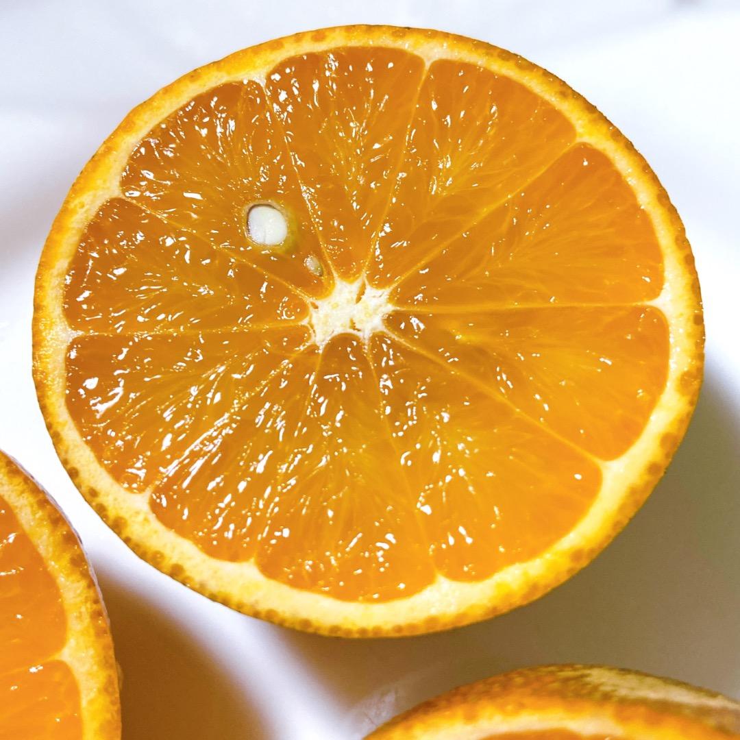 #3 世界自然遺産 奄美大島産 完熟たんかん 10キロ 特産品 加工用 柑橘 旬