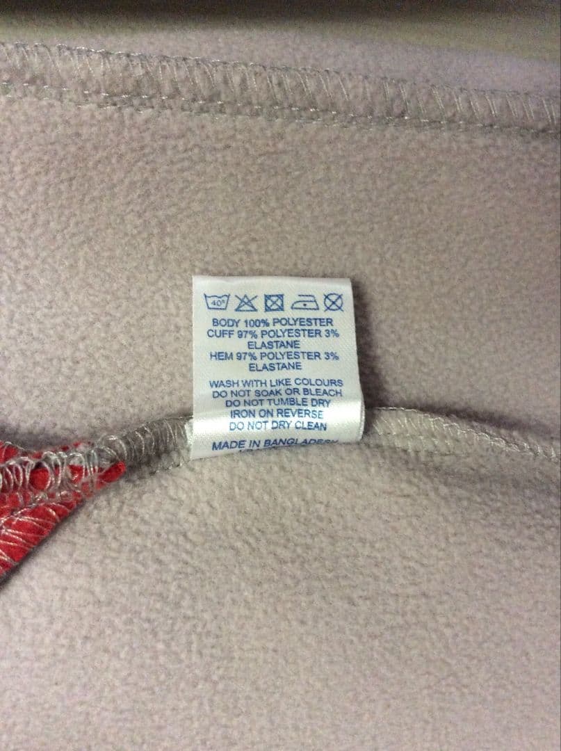 サッカー ウェールズ代表 2008 Champion スウェット フリース 長袖