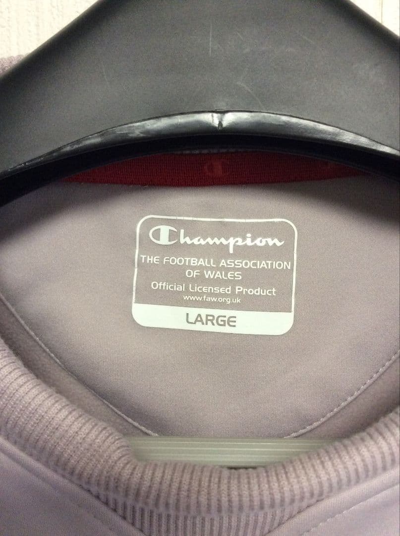 サッカー ウェールズ代表 2008 Champion スウェット フリース 長袖
