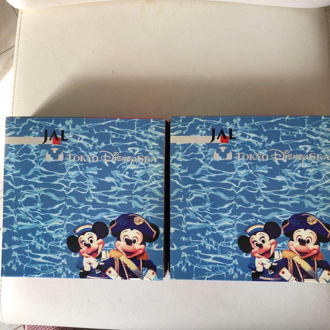 JALドリームエクスプレス21 Tokyo DisneySEA号特別塗装機　2機