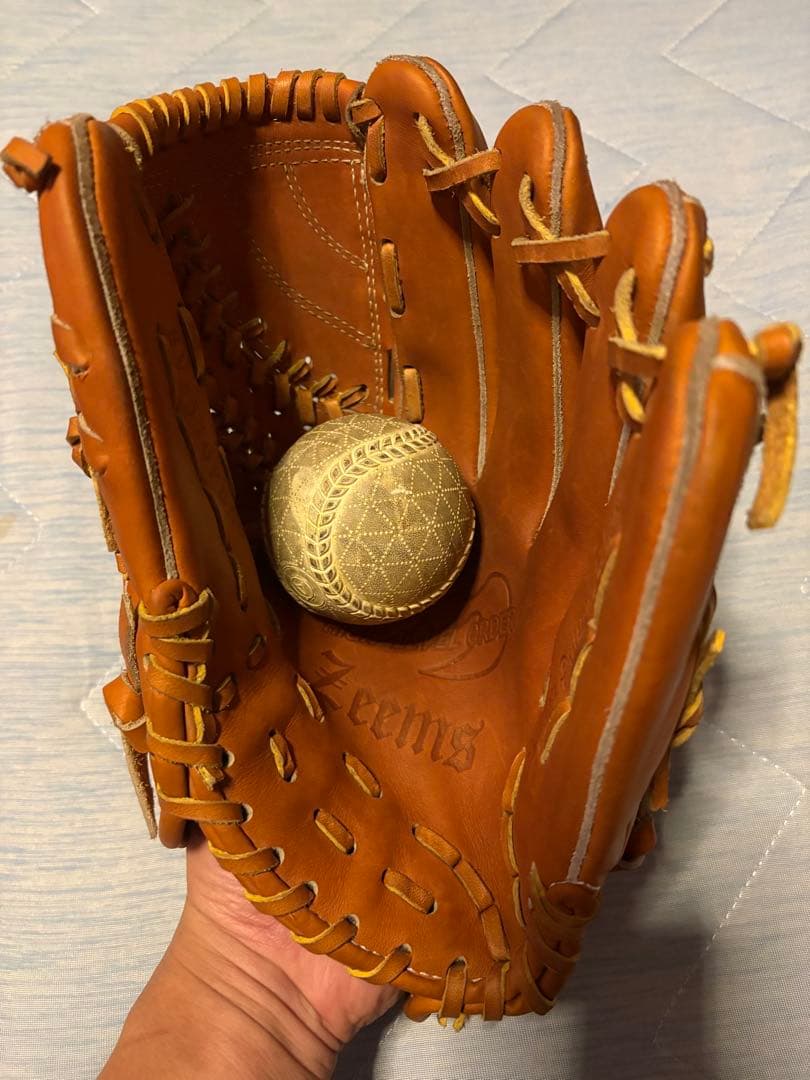 Zeemsジームス　投手用　一般軟式　右投用