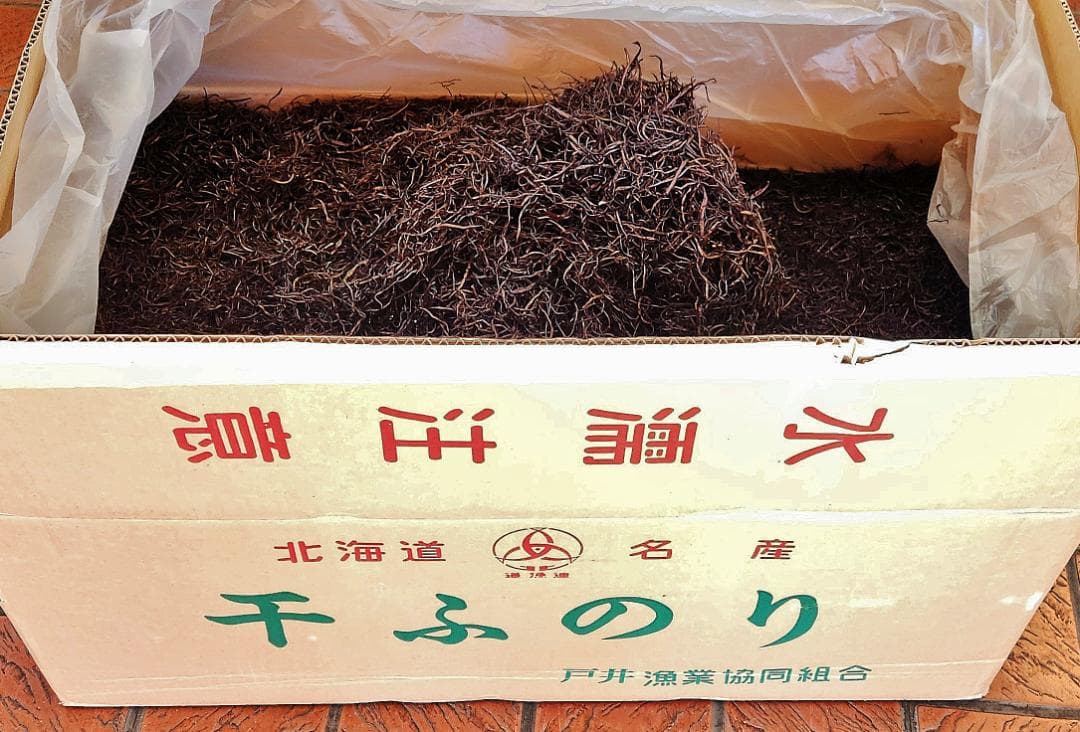 天然乾燥寒ふのり500g北海道産函館産業務価格のお徳用大袋特価