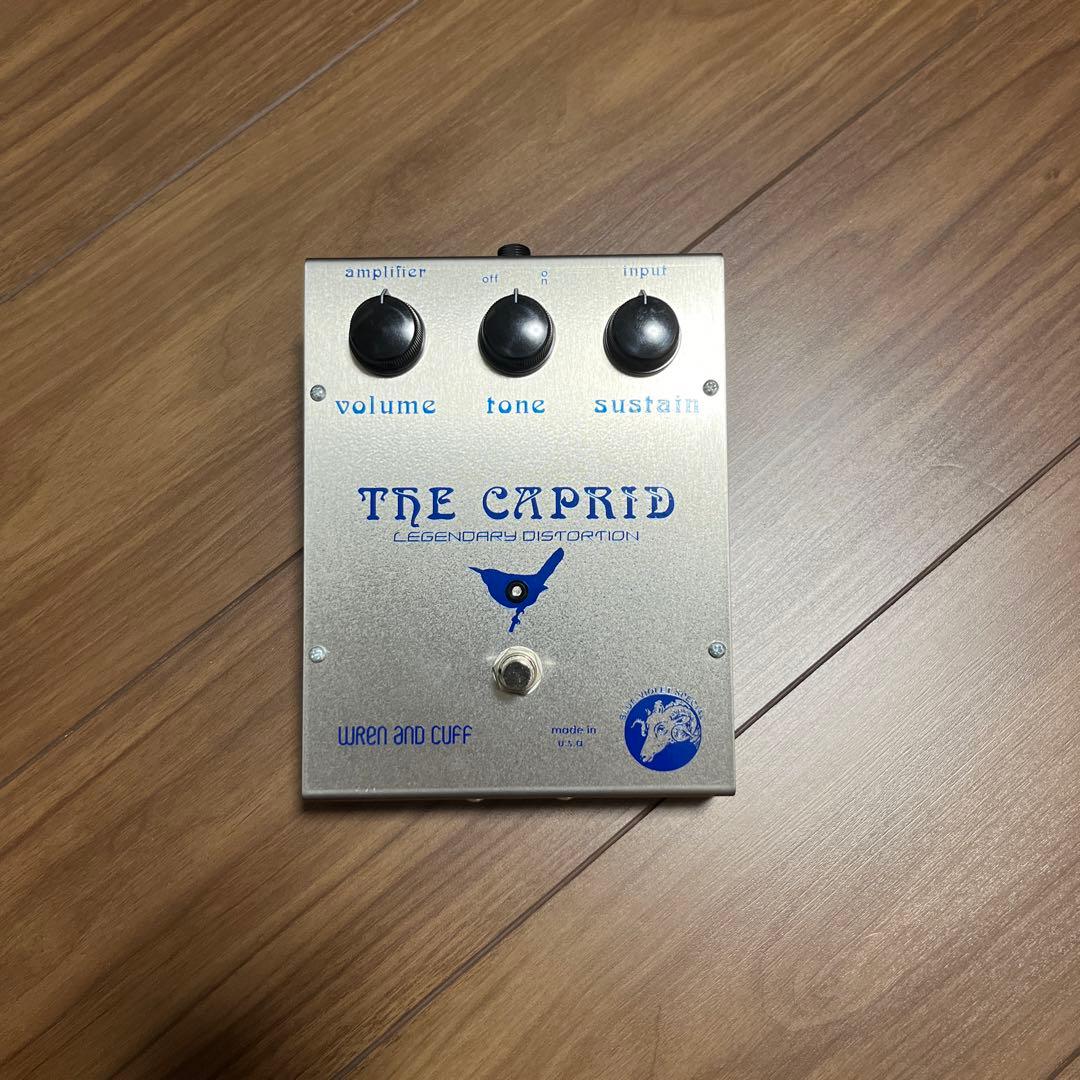 ギター Caprid Blue Violet Special Edition