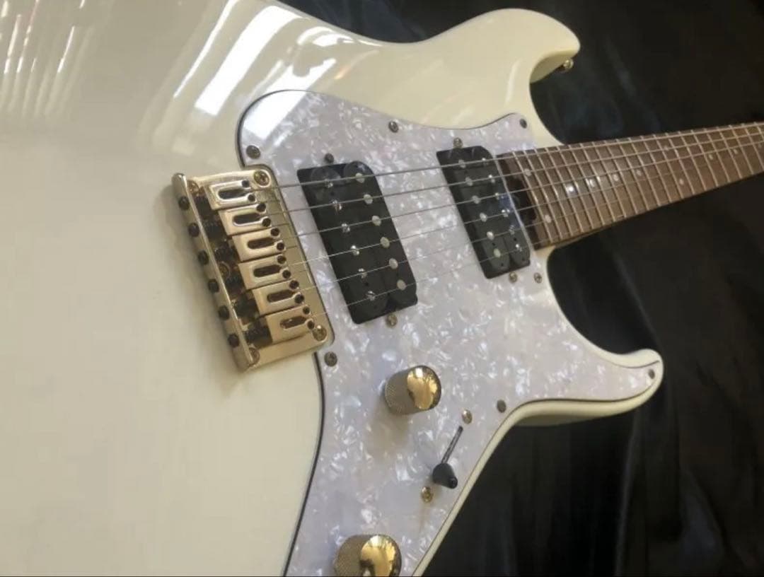 GrassRoots G-THROBBER-DX SW エレキ グラスルーツ