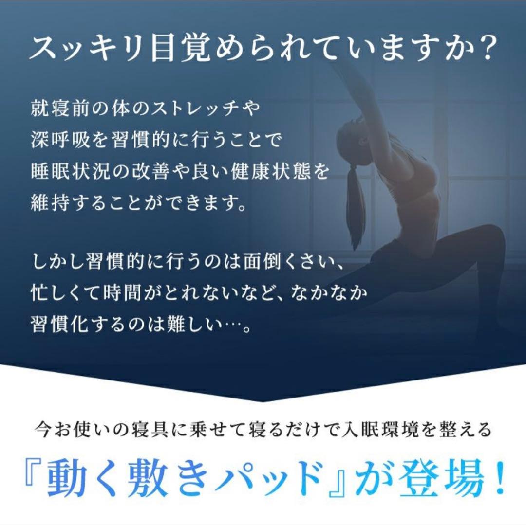 Airtech Sleeper エアテックスリーパー　BlueBlood　新品