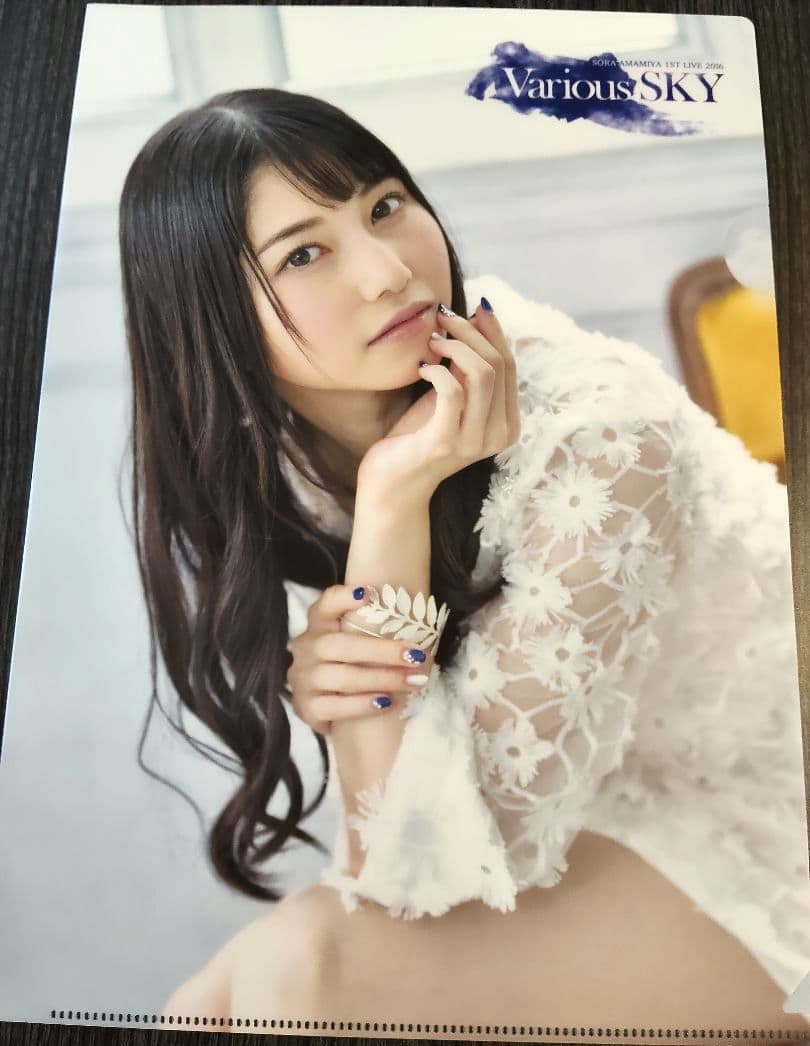 雨宮天 クリアファイル23枚セット