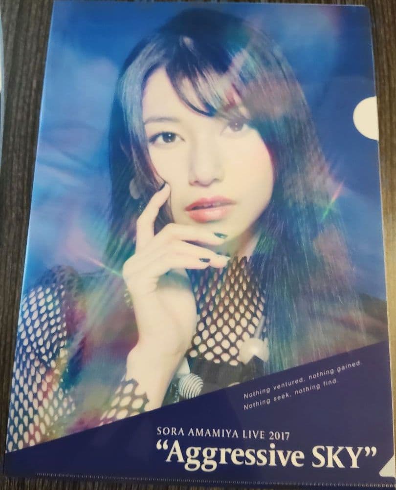 雨宮天 クリアファイル23枚セット