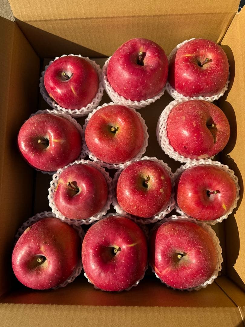 【すみちゃん】5kg×3箱　サンふじ