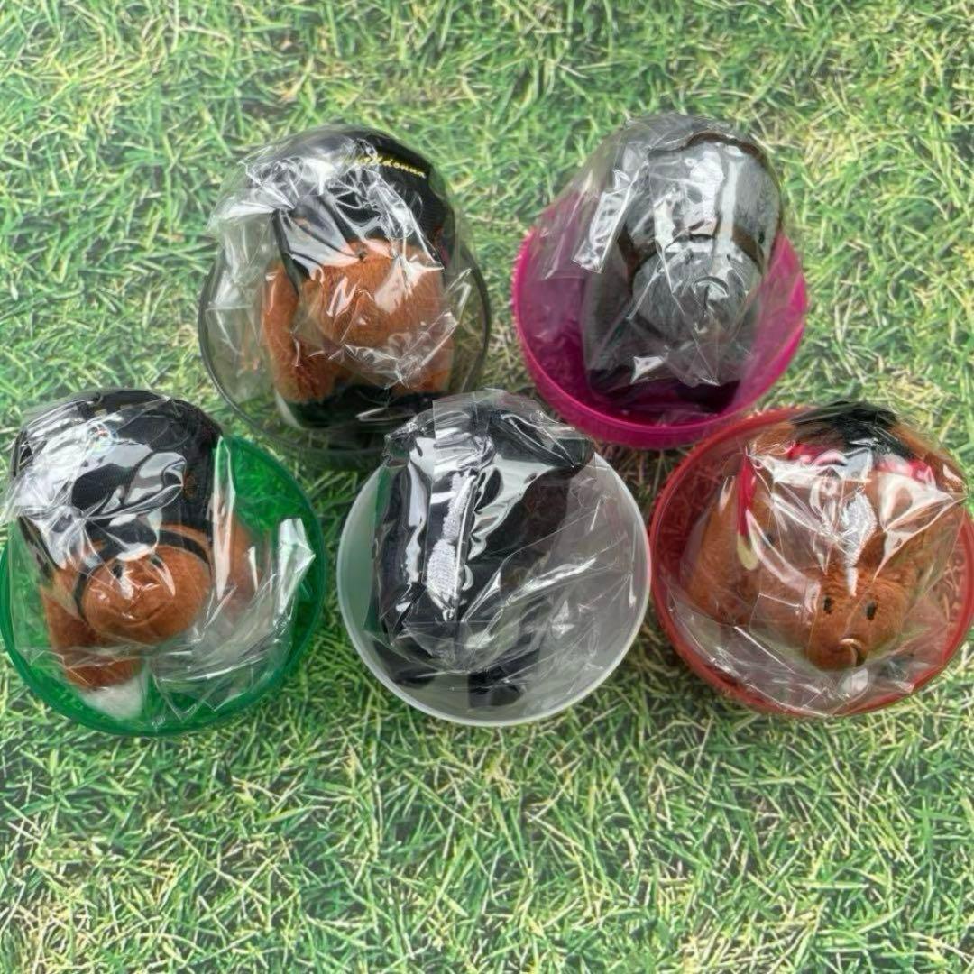 サラブレッドコレクション　ぷちぬいぐるみ5 全5種類コンプリート‼️新品内袋未開封