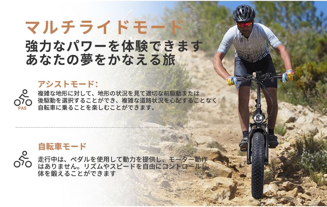 Miyazaki Pro ファットバイク 電動アシスト自転車 E-BIKE