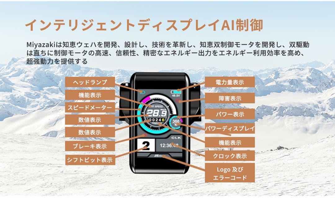 Miyazaki Pro ファットバイク 電動アシスト自転車 E-BIKE