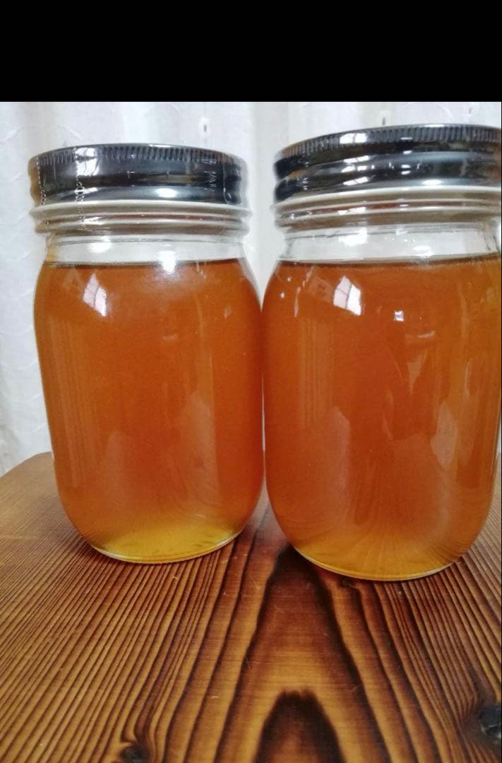 100%天然、絞りたて生はちみつ(日本蜜蜂)620×2個