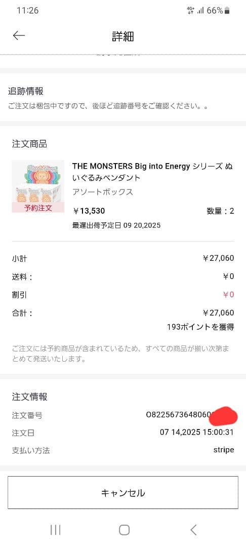 ラブブ　シークレット　エナジー　 Biginto Every 正規店購入