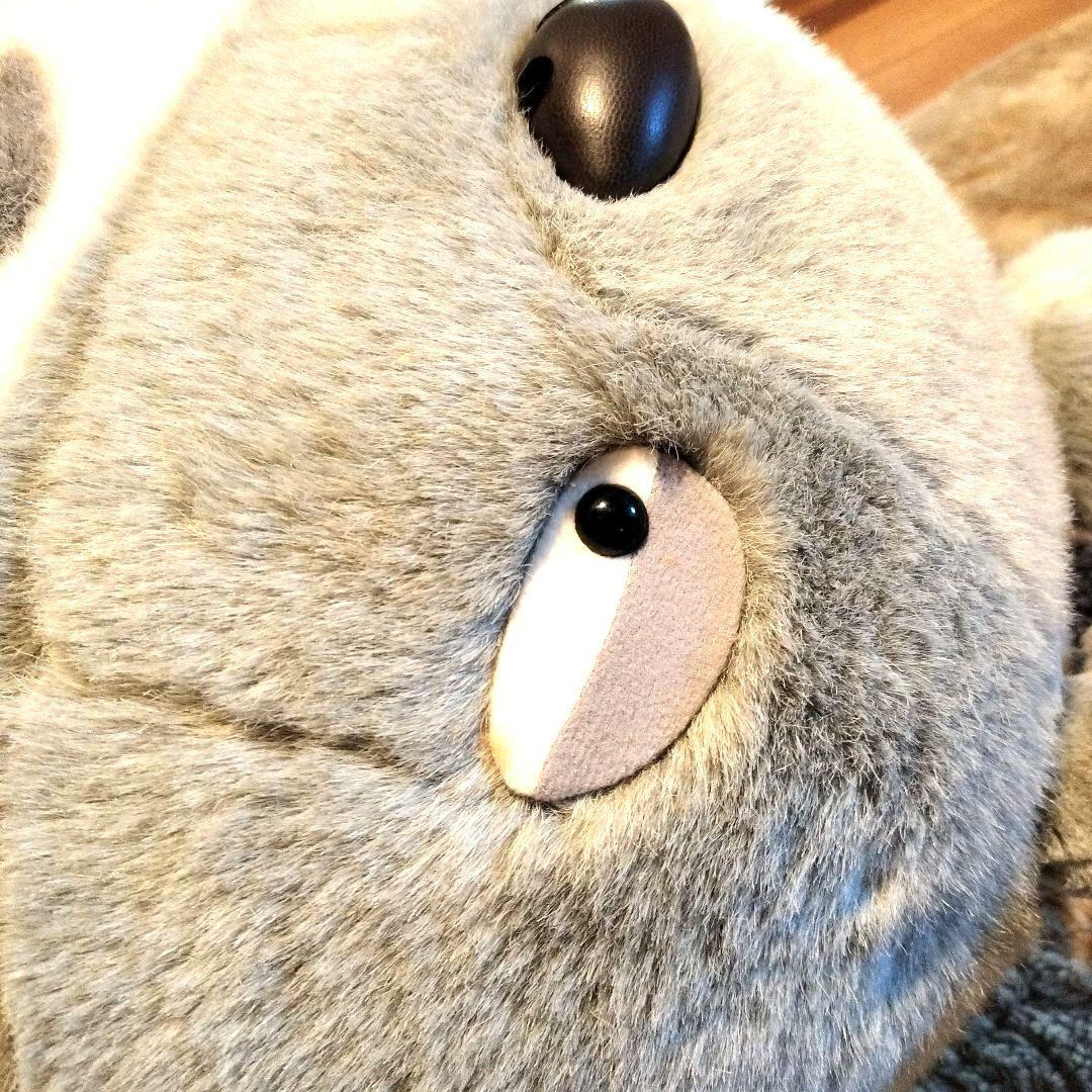 専用になります