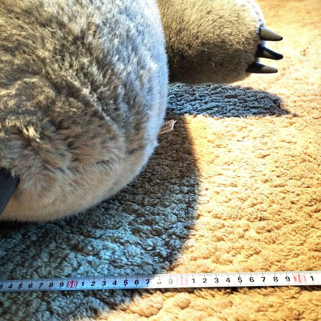 専用になります