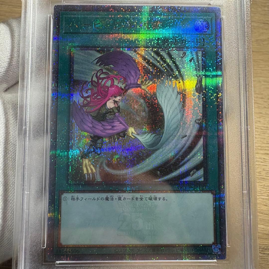 【 鑑定品 PSA10 】　極美品　ハーピィの羽根帚 25th クオシク 絵違い